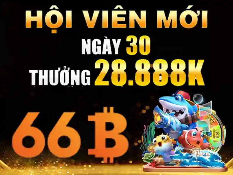 Ưu Điểm Của 66B Với 66b Free Chip