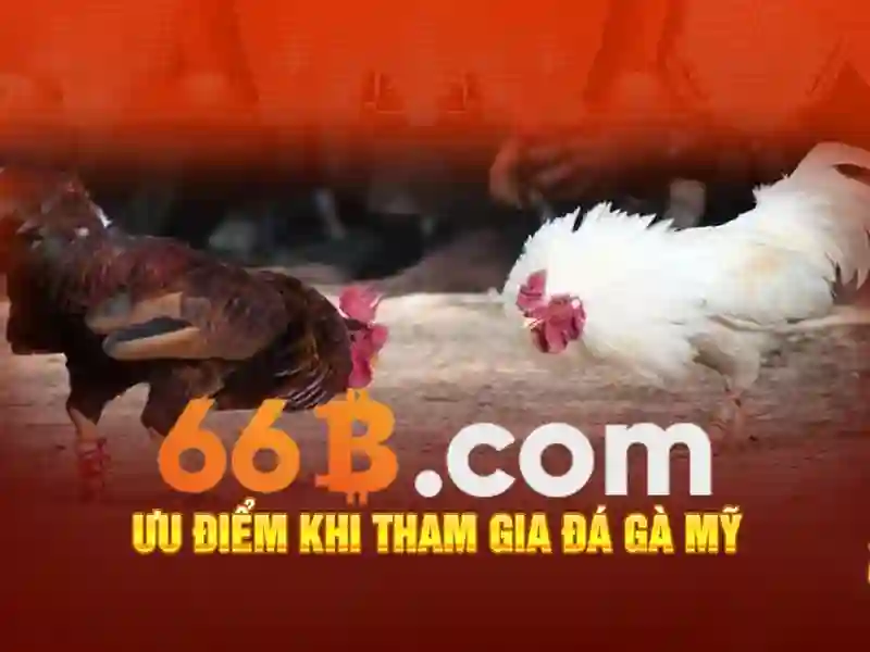 Trải Nghiệm Slot Đỉnh Cao Tại 66B