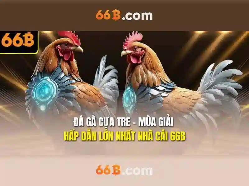 Chương Trình Ưu Đãi 66B