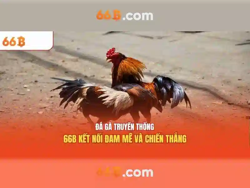 Trải nghiệm slot game đỉnh cao