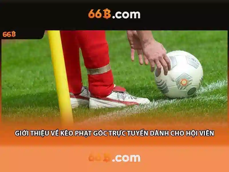 Quy Trình Rút Tiền Slot