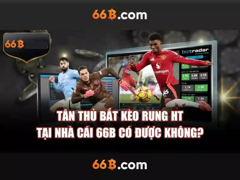 Ưu Điểm 66B