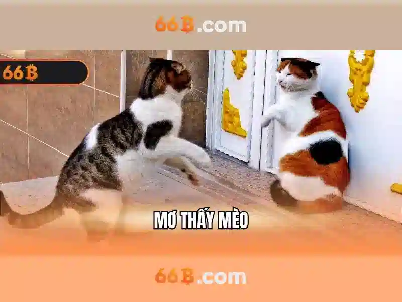 So sánh 66B với đối thủ