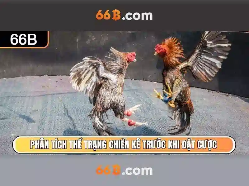 Đăng Ký 66B