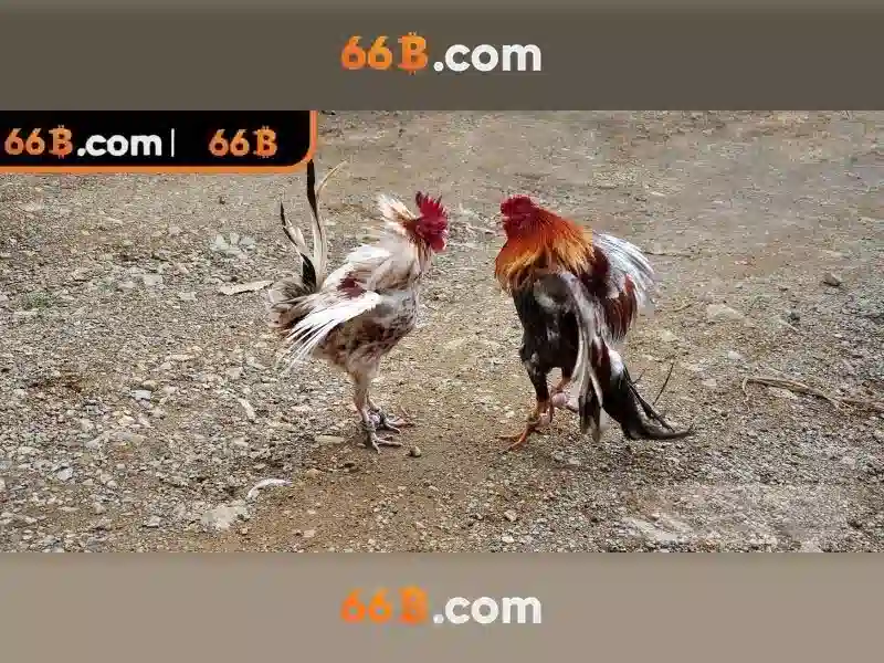 Trải Nghiệm Slot Đỉnh Cao Với 66b Club