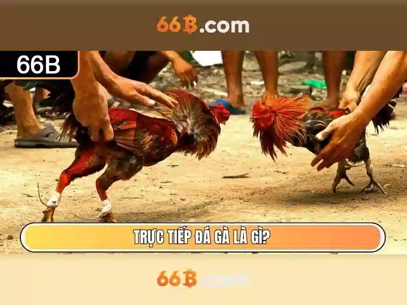 Khuyến Mãi Slot 66B