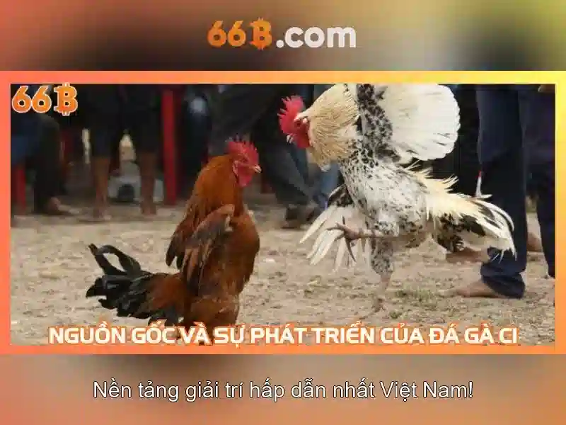Quy Định Bảo Mật Dữ Liệu Người Chơi 66B Android