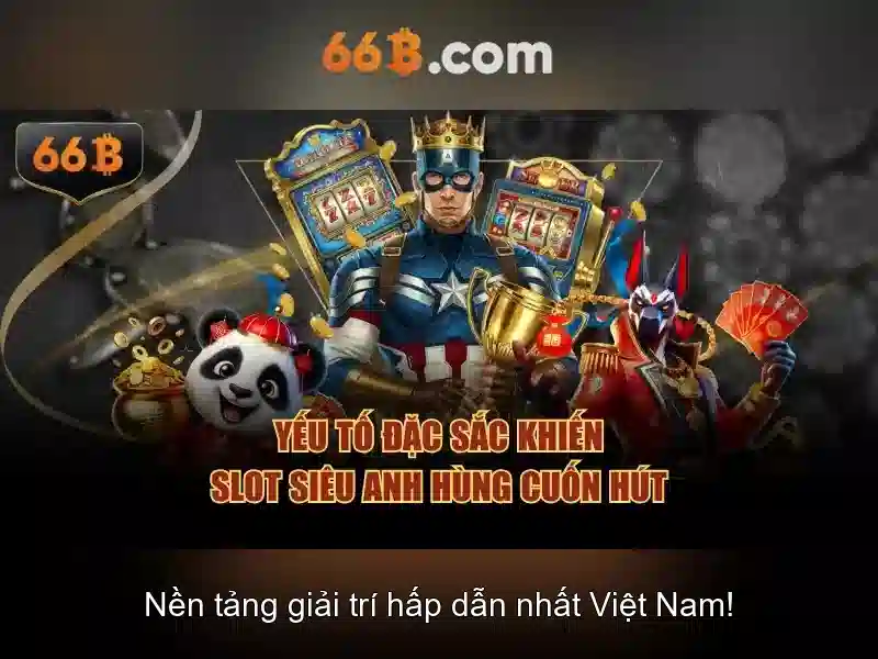 Quy trình hỗ trợ chuyên nghiệp 66B