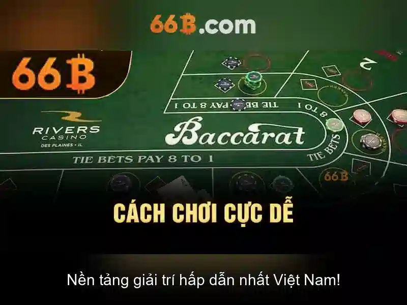 Tại Sao Nên Chọn 66B