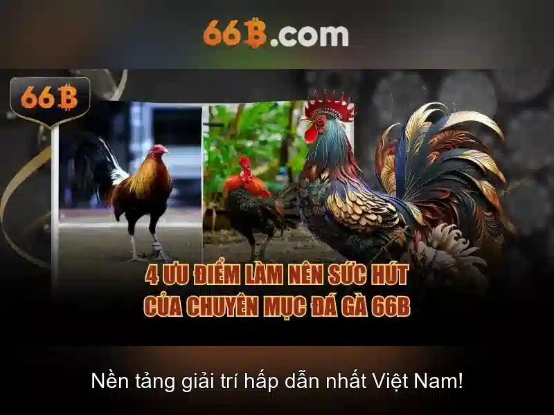 Khám Phá Tựa Game Slot 66B – Đa Dạng Và Hấp Dẫn