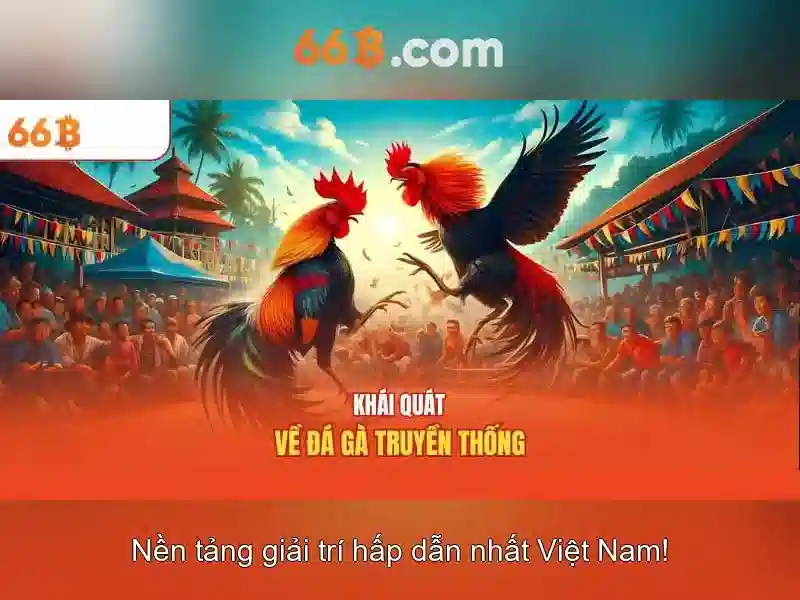 Trải Nghiệm 66B