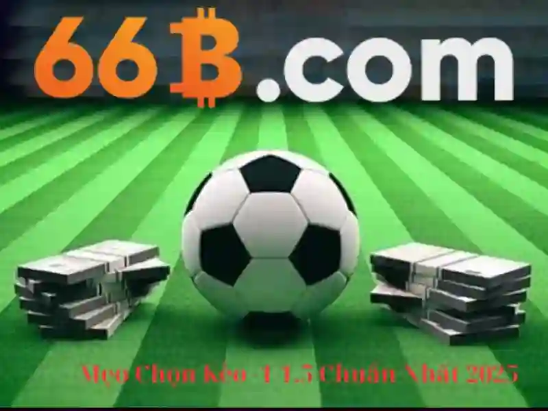 Phương thức liên hệ đa dạng 66B