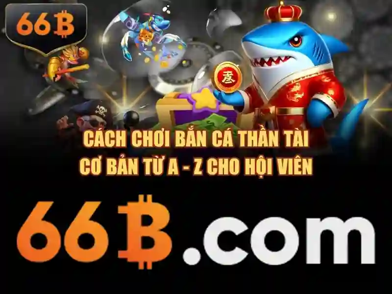hướng dẫn 66B