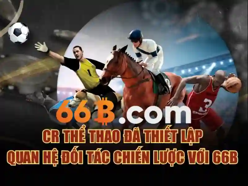 Đánh Giá 66B