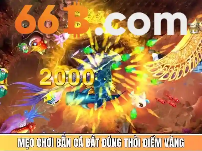 Khám Phá 66B
