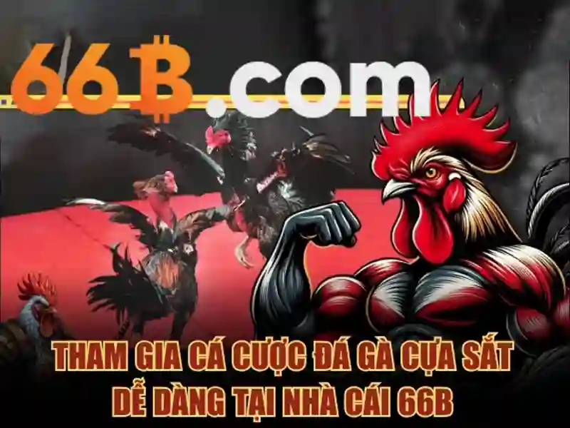Tài Khoản 66B – Trải Nghiệm Giải Trí Đa Dạng