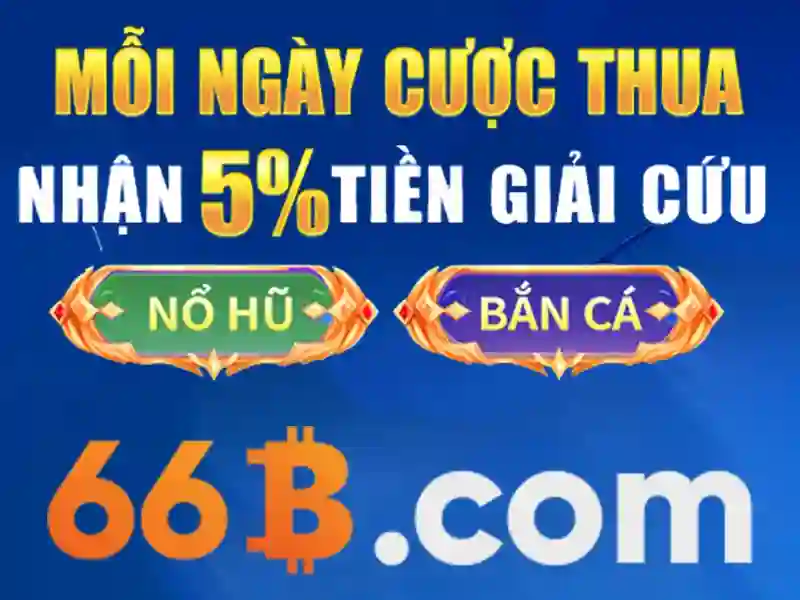 Tính năng ứng dụng 66B